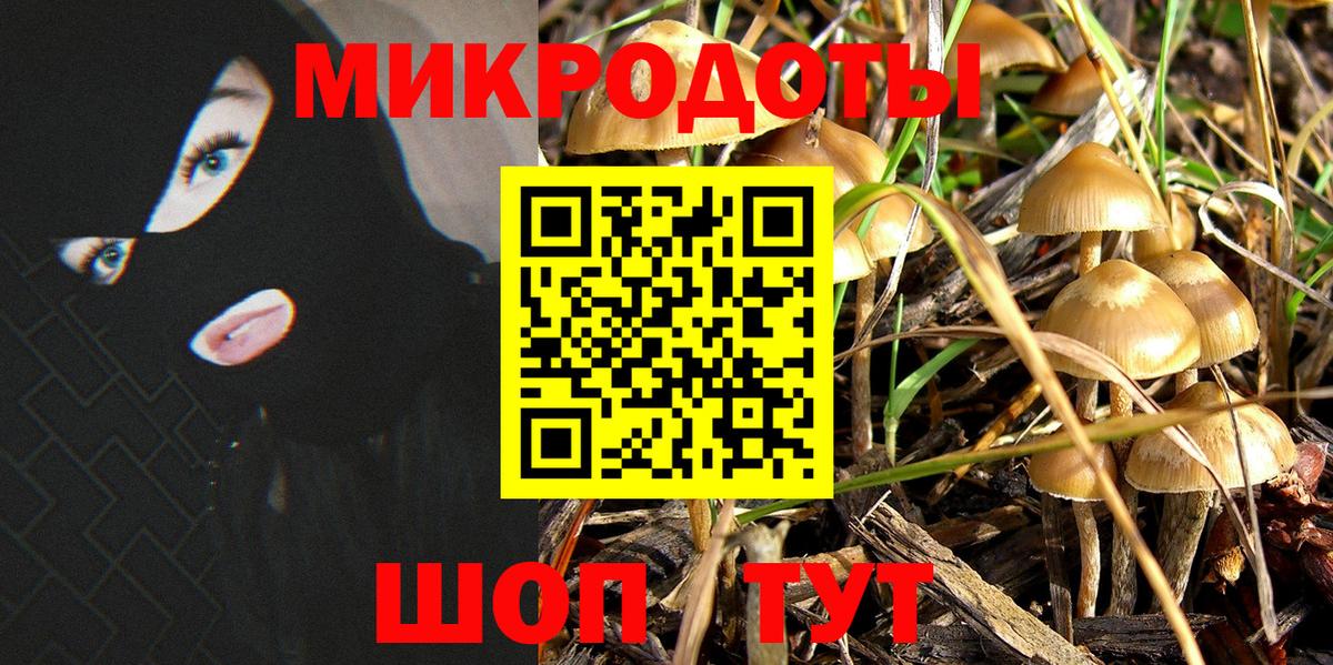 Псилоцибиновые грибы Psilocybe Люберцы